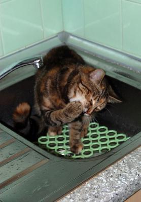 Прикрепленное изображение: 0003s1.jpg